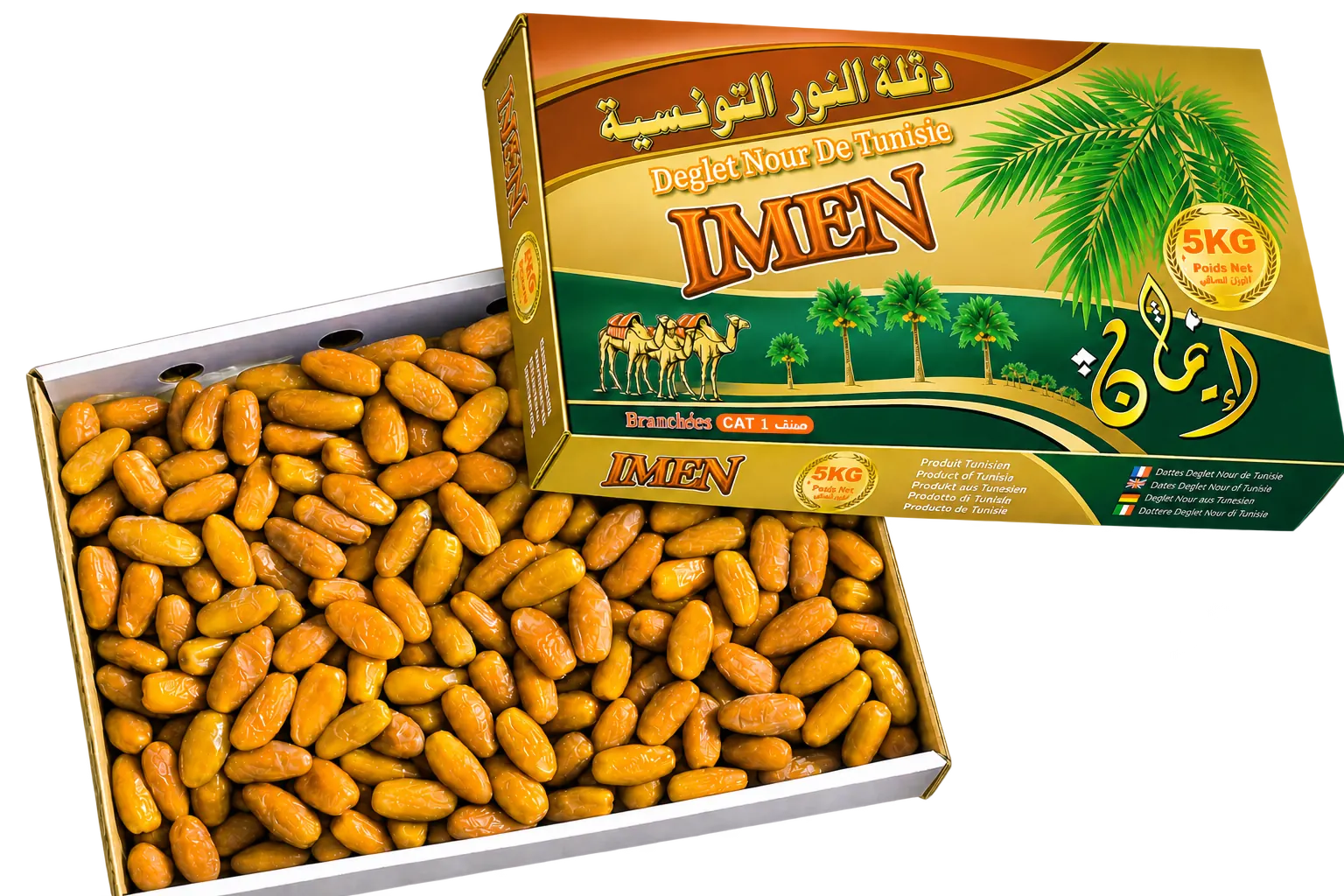 Palmeraie de l'oasis de Kébili